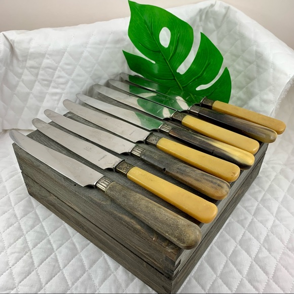 Other - VINTAGE BUTTERKNIFE SET W/CASE BONE LIKE HANDLES